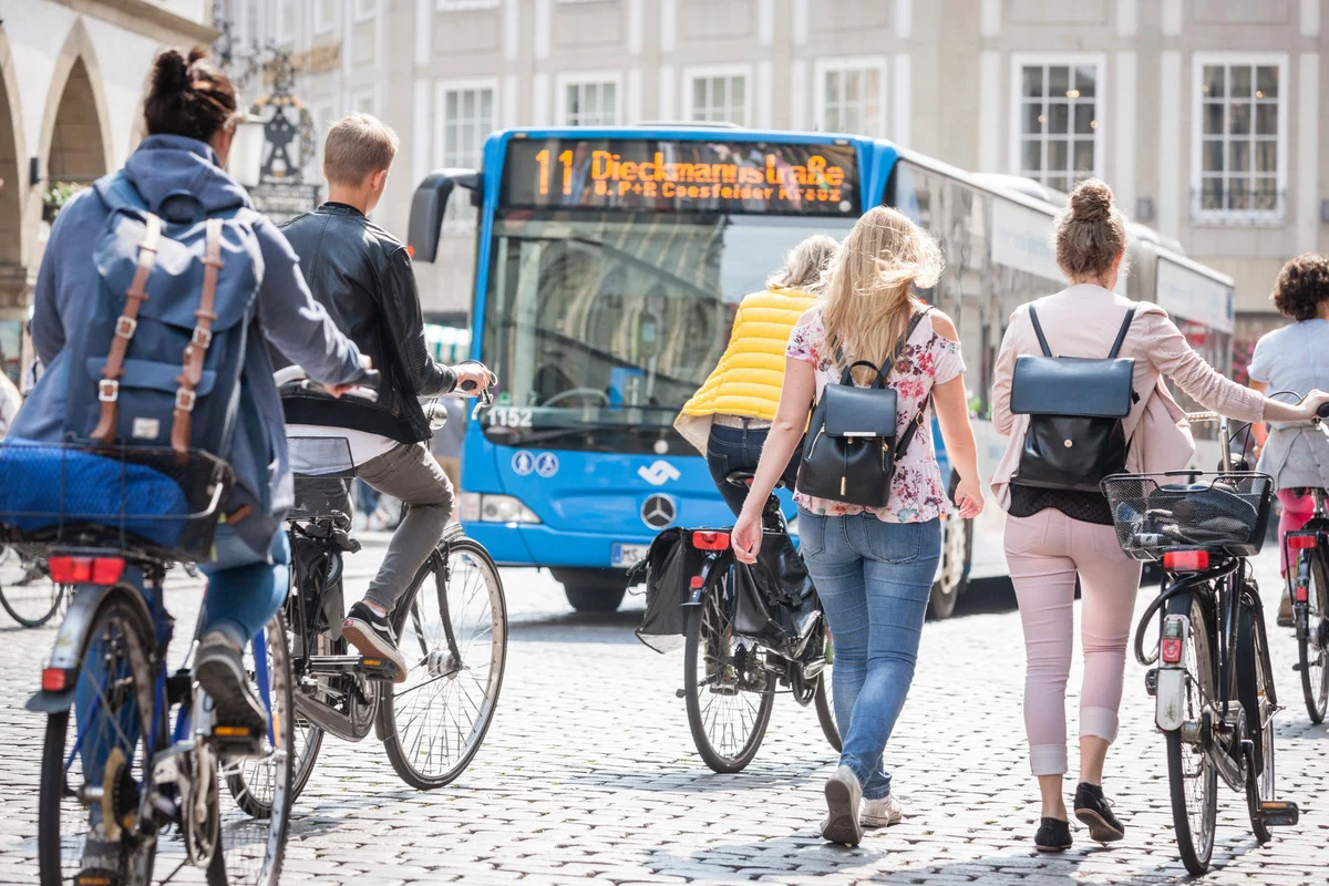 Transportation Program